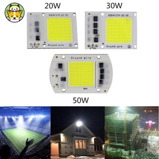 15W/20W/30W/50W ไฟ Led ไดรฟ์ Cob ชิปโคมไฟ 220V