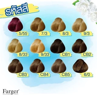 (ตัดปีกฝา) สีย้อมผม ฟาร์เกอร์ โทนสีธรรมชาติ/สีน้ำตาล FG By Farger Natural/Brown Hair Color 100 ml.