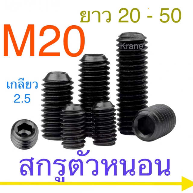 สกรูตัวหนอน ดำ M20 เกลียว 2.5 ยาว 20 - 50