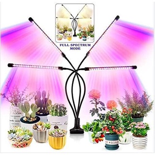 CAMRY ไฟLED ไฟGrow light ไฟปลุกต้นไม้ ไฟช่วยต้นไม้ตัวเร็ว ปรับได้3แสง ตั้งเวลา ปรับความสว่างได้