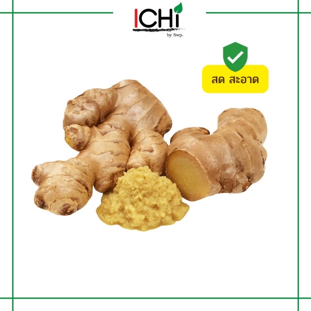 พร้อมส่ง‼️ขิงแก่สด 1Kg.