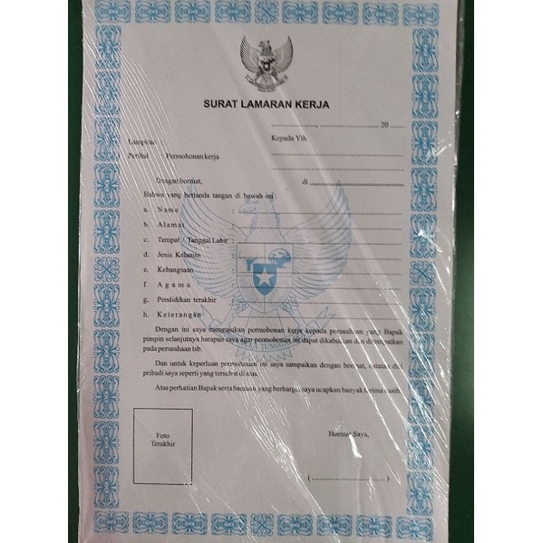 JOB APPLICATION BLANK/CV BLANK 100 LBR