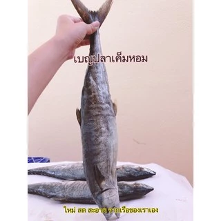 ปลาอินทรีย์เค็มหอม แบบเป็นตัวตัวละ 1000 กรัม - 500 กรัม กิโลกรัม ละ 450 บาท จากเรือของเราเอง ทะเลอ่าวไทย