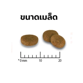 [ล็อตใหม่] Purina Proplan อาหารแมว โปรแพลน แมว สูตร ไก่ Chicken สำหรับ แมวโต บำรุงขน ตัวแน่น อายุ 1 ปี ขึ้นไป 7 kg
