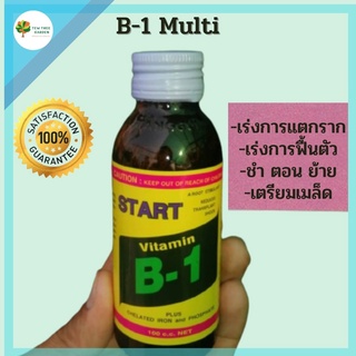 B-1 Multi extra start น้ำยาเร่งราก ขวดแก้ว บีวันยาเร่งรากน้ำยาเร่งราก บำรุงราก วิตามินบี 1 ธาตุอาหารรอง อาหารเสริม