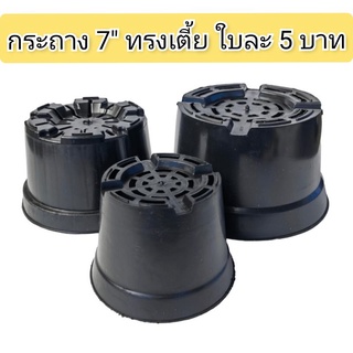 กระถางดำ 7" ทรงเตี้ย 1โหล กระถางราคาถูก