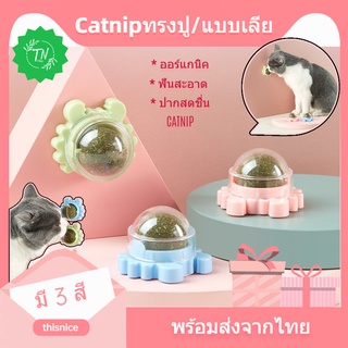 Catnip แคทนิปแบบเลีย ทรงปู ออร์แกนิค ของเล่นแมว บอลcatnip แบบเลีย แคทนิป CATNIP ของเล่นแมว สุดฟิน