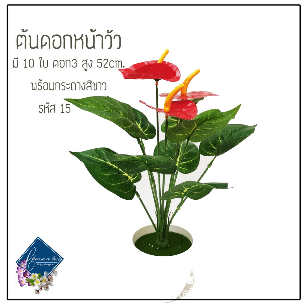 My Image 22