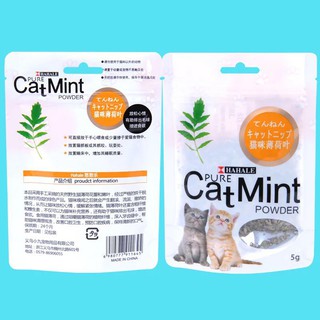 MI กัญชาแมว Cat Mint XJ99