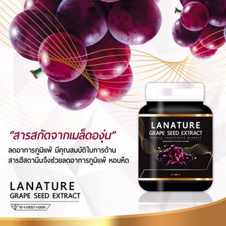 Lanature Grape Seed Extract สารสกัดจากเมล็ดองุ่น (30แคปซูล)