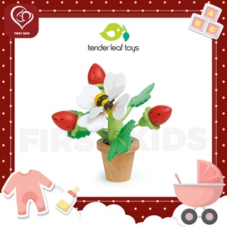 Tender Leaf Toys ชุดดอกไม้สตรอเบอร์รี่ Strawberry Flower Set#firstkids#ของใช้เด็ก#ของเตรียมคลอด