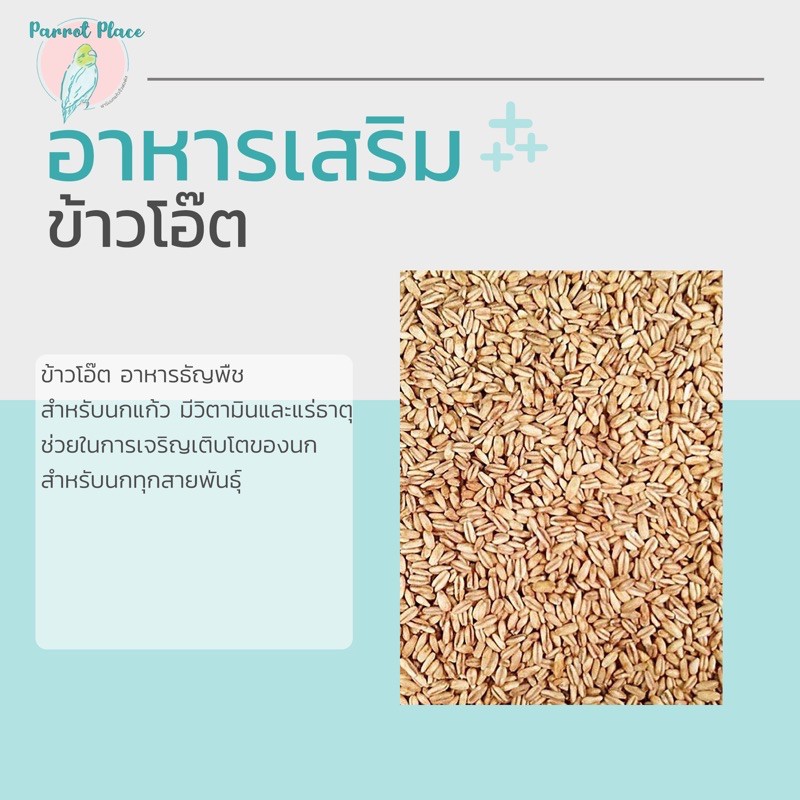 ข้าวโอ๊ต (เป่าฝุ่น) ธัญพืชสำหรับนก