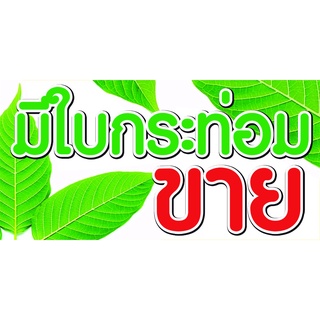 "ส่งไว" ป้ายไวนิล ขายใบกระท่อม ป้ายไวนิลราคาโรงงาน พับขอบเจาะตาไก่ สีสดทนทุกสภาพอากาศ ขนาด 120*60 ซม. เพิ่มเนื้อหาทักแชท