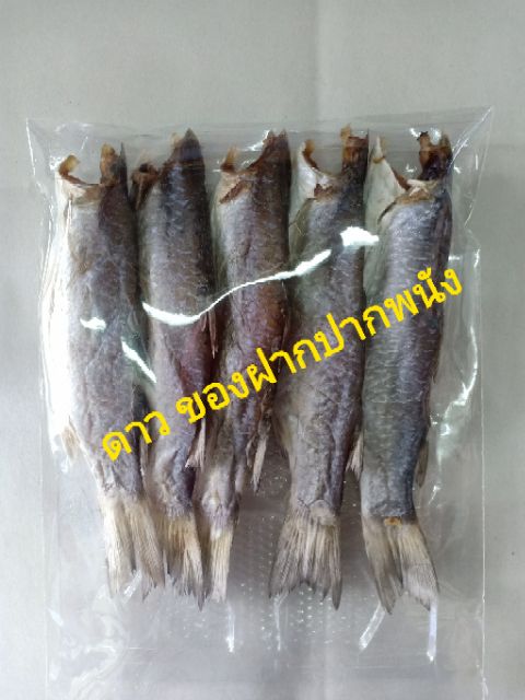 ปลากระบอกร้า ร้านลุงไข่ ป้าออง
