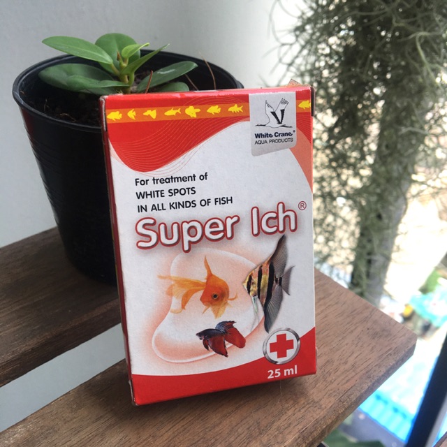 Super Ich กำจัดและป้องกันจุดขาวในปลา