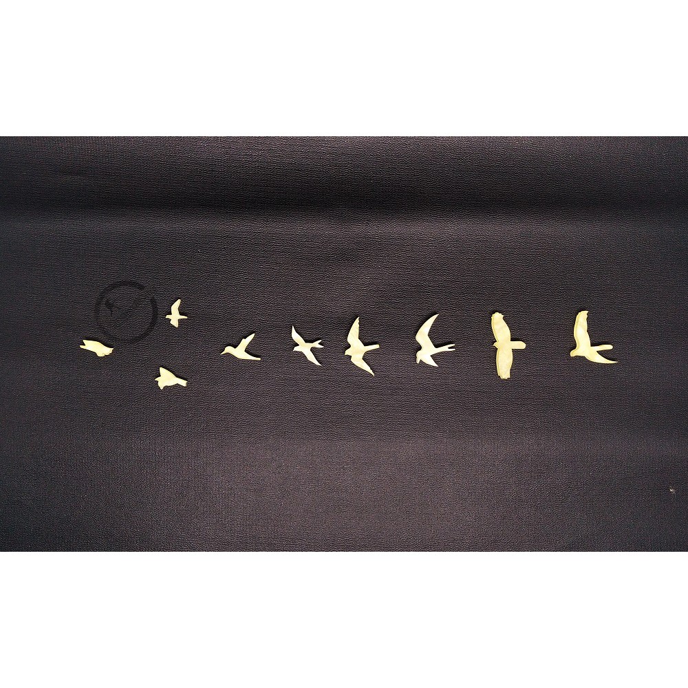 Inlays - Inlay Guitar รุ่น PRS