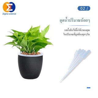 Zigma science - Dropper, Pasteur pipette, Tranfer pipette, ที่หยดของเหลว ที่ดูดของเหลว ขนาด 0.2, 0.5, 1, 2, 3, 5, 10 ml.