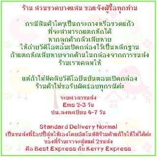 ชุดจัดสวนในขวดแก้ว DIY สวนขวด เซ็ทประหยัด 99฿ มีของพร้อมส่ง