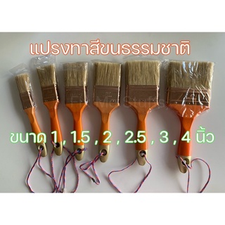 แปรงทาสี BERG ขนธรรมชาติ ทาสีน้ำ ทาสีน้ำมัน (1”, 1.5”, 2”, 2.5”, 3”, 4”)