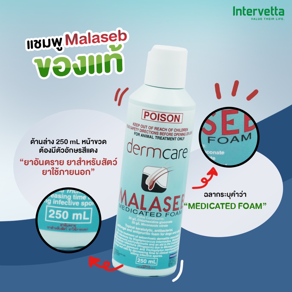 Malaseb Medicated Shampoo มาลาเซป แชมพูขจัดเชื้อแบคทีเรีย เชื้อรา และ