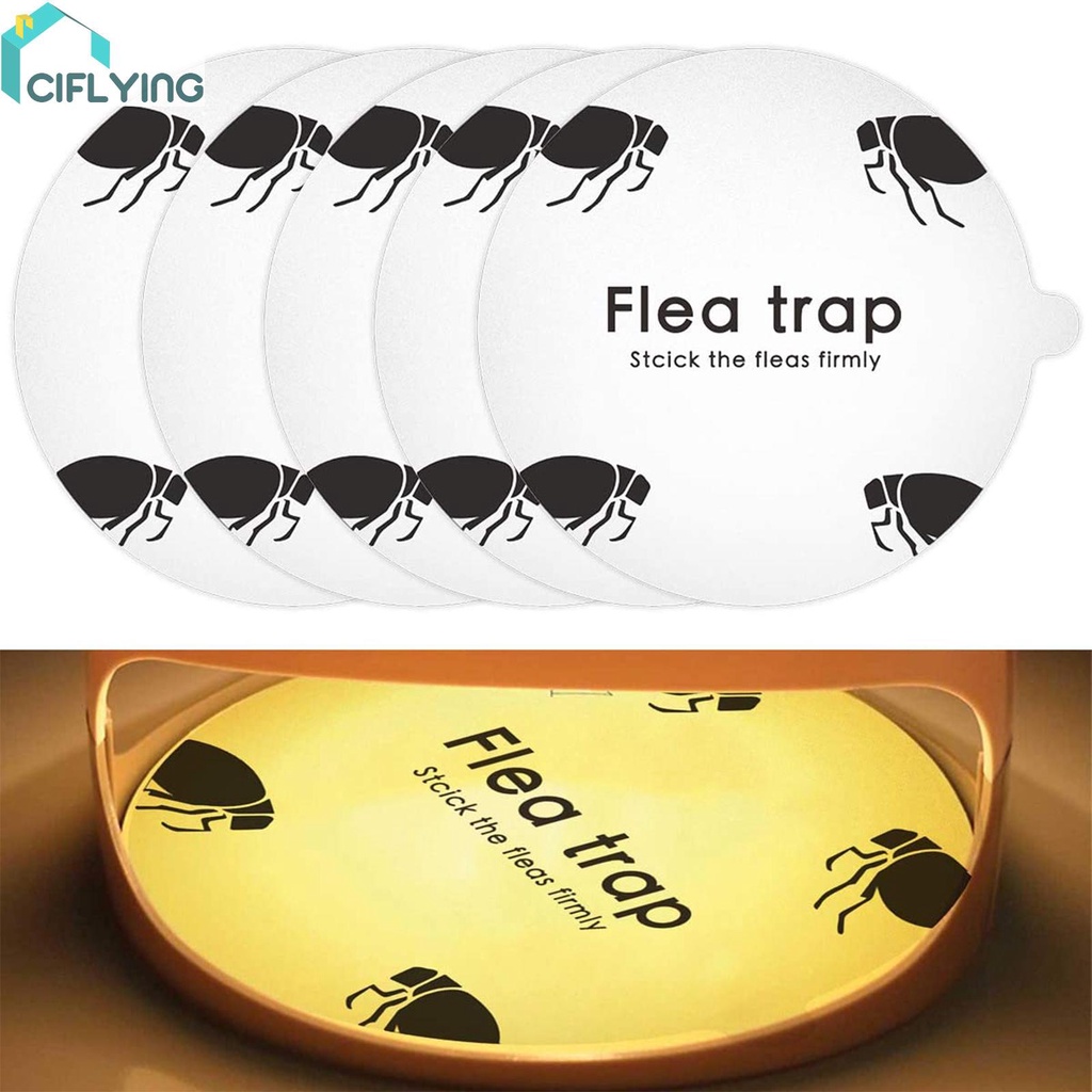 Cifly สติกเกอร์ดักหมัด รูปที่ 4