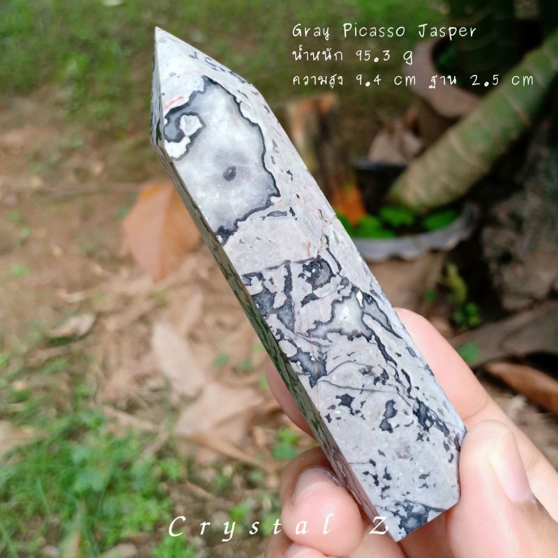 ปิกัสโซ่ แจสเปอร์ | Gray Picasso Jasper 🖤🤍 #point ความสูง 9.4 cm แท่งใหญ่