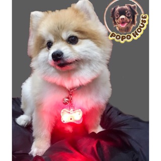 ปลอกคอสุนัข จี้ห้อยปลอกคอ ไฟLEDห้อยปลอกคอ Pet Pendant Pet Collar Tag with LED ช่วยให้เห็นน้องหมาตอนมืด ขนาด 4.5x3x1.5 ซม