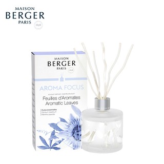 Aroma Focus Scented Bouquet Maison Berger Paris:ก้านหอมสำหรับบ้าน ดับกลิ่น บ้านหอม กลิ่นหอมสดชื่น