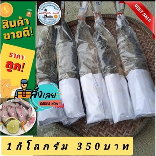 ปลาอินทรีย์หอมเค็มตัวละประมาณ900-1100กรัมปลาอินทรีหมักในเรือปลาอินทรียสูตรไม่เค็มมาก