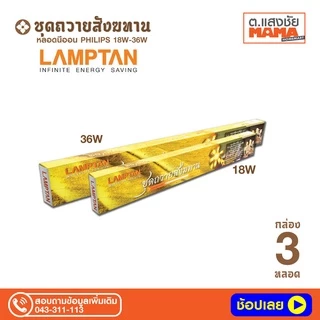 หลอดนีออน LAMPTAN 18W ชุดสังฆทาน บรรจุชุด 3 และ 9 หลอด