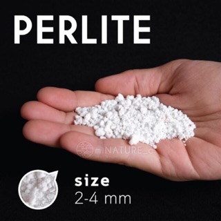 เพอร์ไลท์  (Perlite)