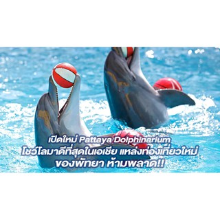Pattaya Dolphinarium **ส่งเป็น Code เท่านั้นค่ะ** โลมาโชว์