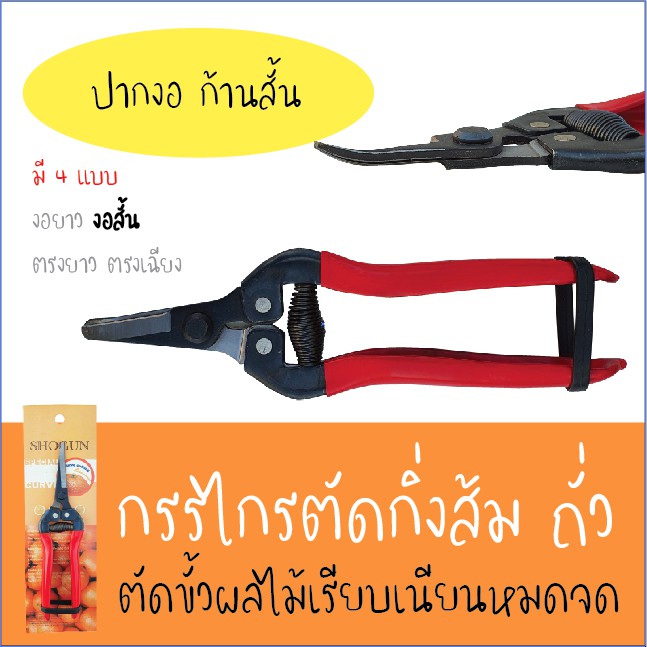 กรรไกรตัดส้ม *ปากงอ ก้านสั้น* สำหรับตัดขั้วผลไม้โดยเฉพาะ (Gardening Pruning Shear) กรรไกรตัดถั่ว กรรไกรตัดกิ่ง