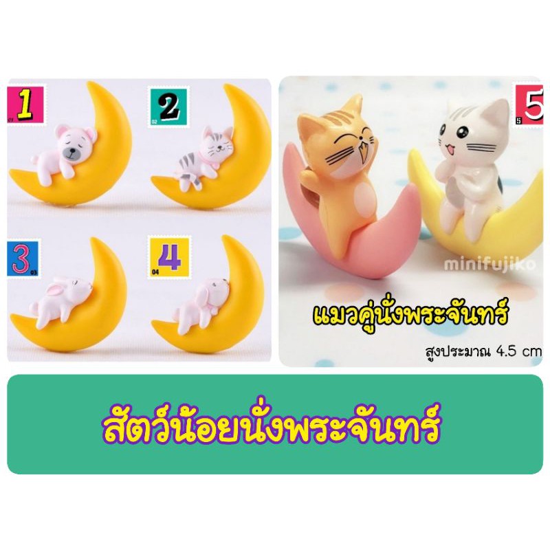 My Image 26