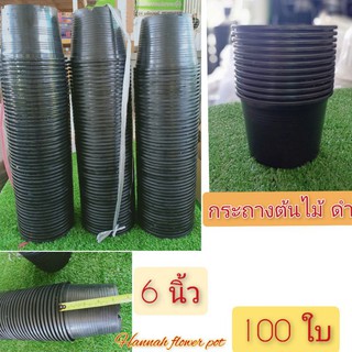 กระถางต้นไม้ สีดำ 6 นิ้ว เซท 100 ใบ กระถางต้นไม้พลาสติกสีดำ