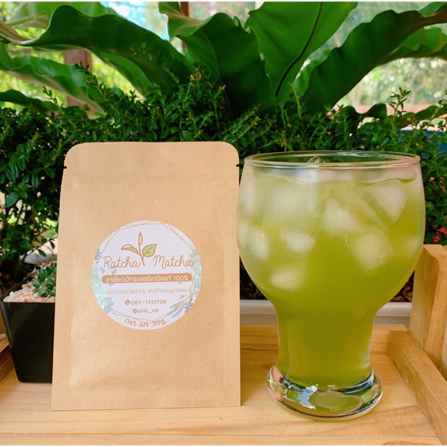 Patcha Matcha พัชชา มัทฉะ