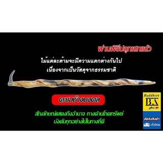 ขอบังคับช้างมงคล ยาว 22 นิ้ว เป็นสัญลักษณ์แสดงถึงการนำทุกอย่างไปในทางที่ดี ราคา / ด้าม