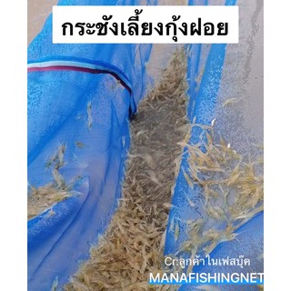 กระชังเลี้ยงกุ้งฝอย กุ้งเครฟิช 🦞 ขนาด 1.8x2.5 เมตร สูง 1 เมตร