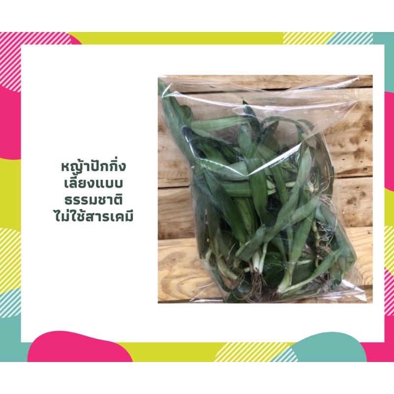 หญ้าปักกิ่ง เลี้ยงแบบธรรมชาติ ไม่มีสารเคมี ปริมาณ 1กิโลกรัม ภาพตัวอย่างคือปรืมาณ 250 กรัม ปริมาณจริง คูณ 4 จากรูปตัวอย่