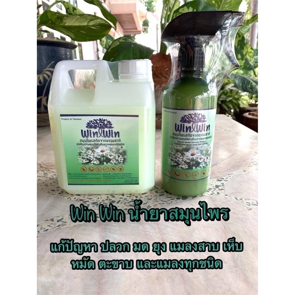 น้ำยาสมุนไพรไล่แมลง ไล่มด แมลงสาบฯลฯ สูตรแมลงแก้ปัญหาแมลงได้ทุกชนิด Win Win
