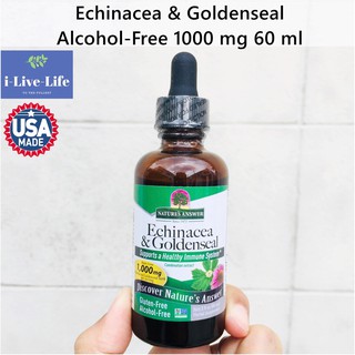 เอ็กไคนาเซีย โกลเด้นซีล Echinacea &amp; Goldenseal Alcohol-Free 1000 mg 60 ml - Natures Answer