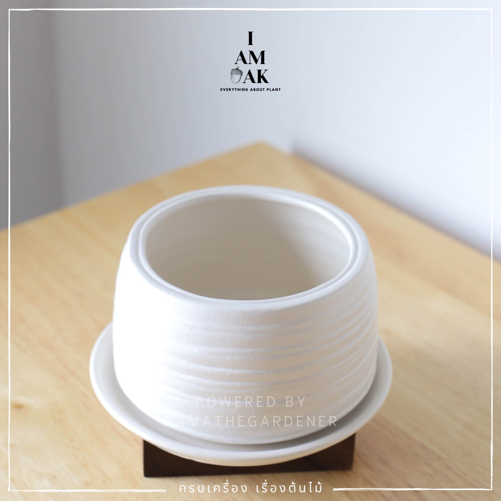 มุมมอง 2