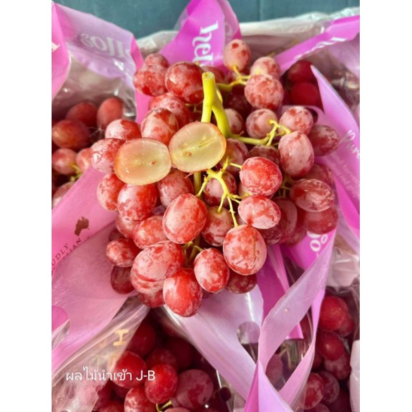 My Image 23