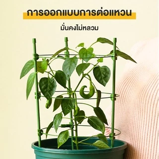 กรงพืช โครงเถาวัลย์ เสามะเขือเทศ ซุ้มไม้ โครงปลูก อุปกรณ์สำหรับพืชไม้เลื้อย จัดทรงต้นไม้ ไม้เลื้อย 45/60/75/90/120ซม.