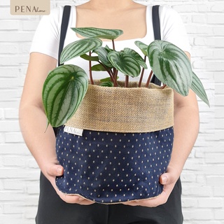 Pena Home : PLANT POT COVER กระถางต้นไม้ สีพื้นน้ำเงินจุดเล็ก รุ่น 7PAS0007-7PAXL0007