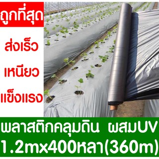 พลาสติกคลุมดิน 1.2ม.x400หลา(360ม) พลาสติกคลุมแปลง พลาสติกดำ/เงิน พลาสติกกันวัชพืช กันวัชพืช ปลูกผัก ปลูกผลไม้(ไม่เจาะรู)