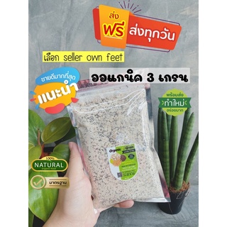 🔰ค่าส่ง19฿ไม่บวกเพิ่ม 🍿ออแกนิค3เกรน โปรตีนจากพืชกับคุณแม่เตรียมตั้งครรภ์🍿พร้อมส่งไม่ต้องรอนาน💟