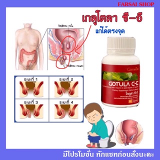 Gotula C-E โกตูล่า ซี-อี /ริดสีดวง เส้นเลือดขอด