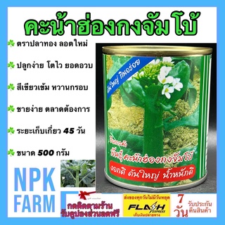 คะน้าฮ่องกง จัมโบ้ ขนาด 500 กรัม ปลาทอง เมล็ดพันธุ์ ลอตใหม่ งอกดี ลำต้นใหญ่ ยอดอวบ สีเขียวเข้ม มีน้ำหนักดี หวานกรอบ