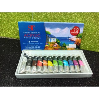 ST Professional ชุดสีอะคริลิคหลอดเงา12สี